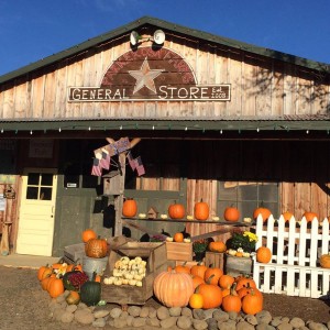 pumpkin patch chehalis