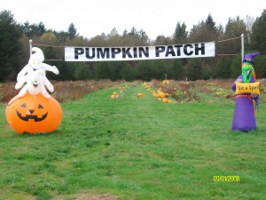 pumpkin patch toledo