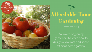 Affordable Home Gardening- Online Workshop @ At-home online workshop