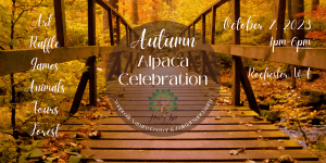 Autumn Alpaca Celebration & Open House @ House of light global nature and Renewal Center